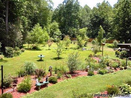 Rock Laurel Bed And Breakfast Candler Servizi foto