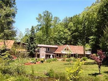 Rock Laurel Bed And Breakfast Candler Esterno foto